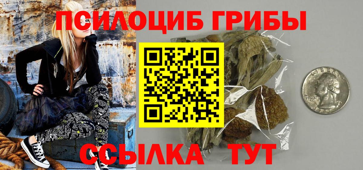Псилоцибиновые грибы GOLDEN TEACHER Казань